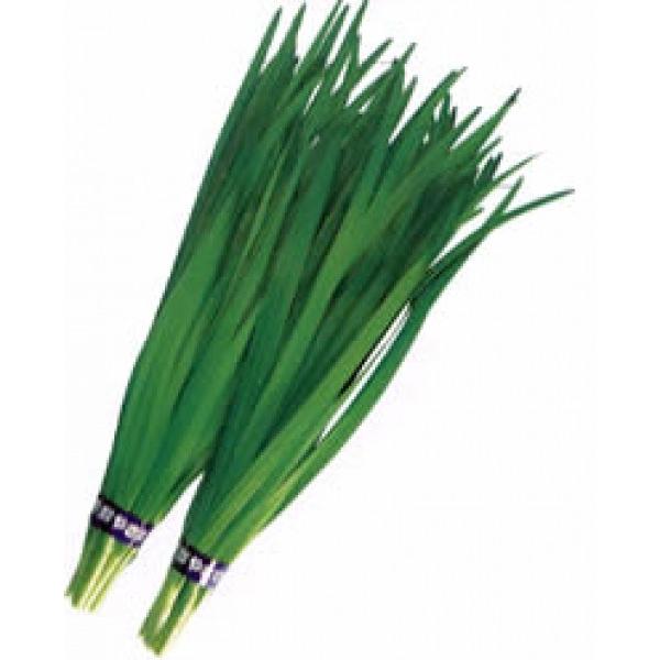 yjqznӍ̎@@u傤v@@2@@[J[/s