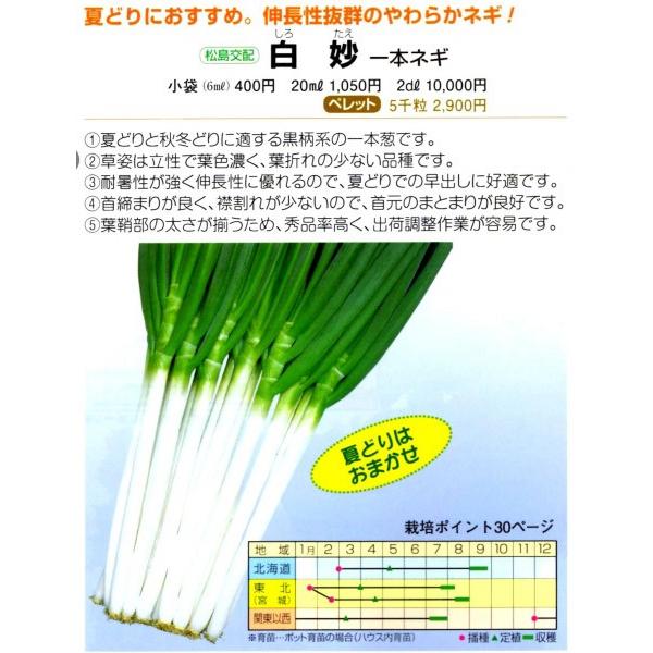 ylMqzzinӍ̎j@ui낽jv@5000R[g@sV^l12ȍ~̂͂\