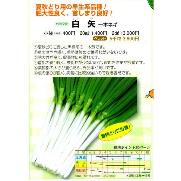 ylMqzzinӍ̎j@ui͂jv@20ml@ii@V^l12ȍ~̂͂\