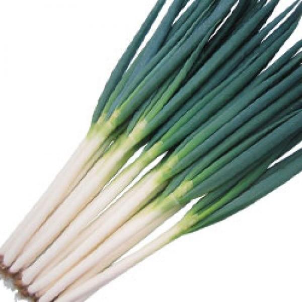 ylMqznӌzinӔ_j@u~Siӂ䂢jv@6000R[g@s