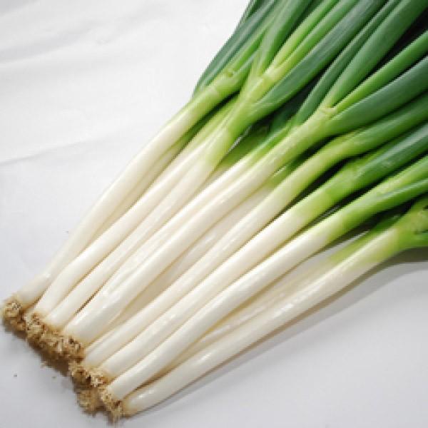 ylMqznӌzinӔ_j@uPiĂЂjvR[gq@6000@s