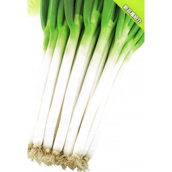 ylMqz@z@ug@i悵ނˁjv@5000R[g@s