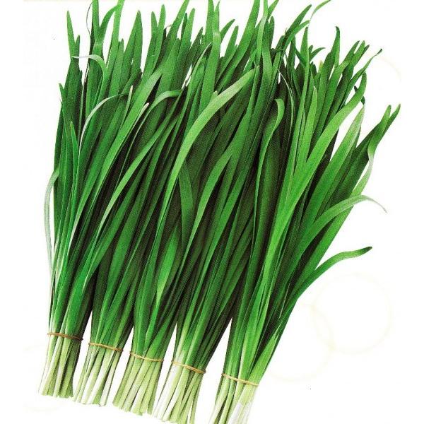 yjqz  c@PVPo^iu~NO[xgv@