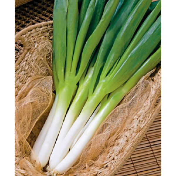 @ylMqz@^LCc@uӂ׎qv@GF܁i4.5mlj@PVPo^i@@_@\ؒƌ琬@