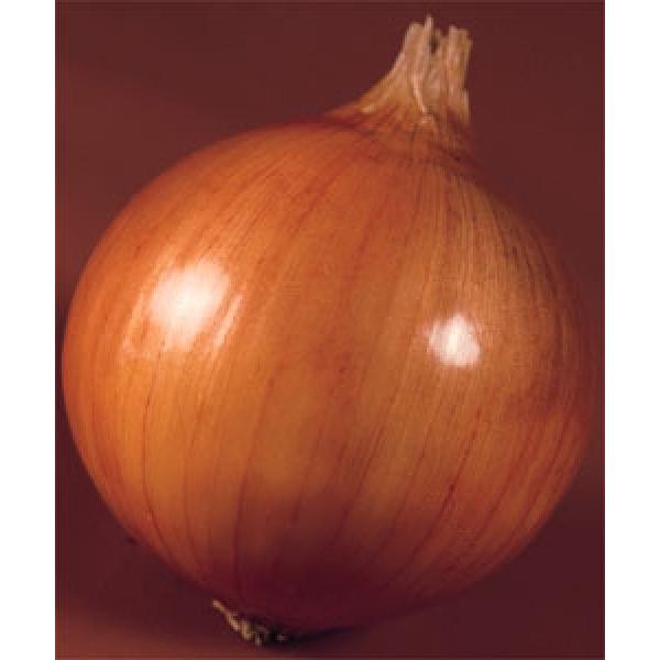 y^}lMqz^LCz@^[{@20ml@  Nxi@V^l̂͂6`7ȍ~ƂȂ܂