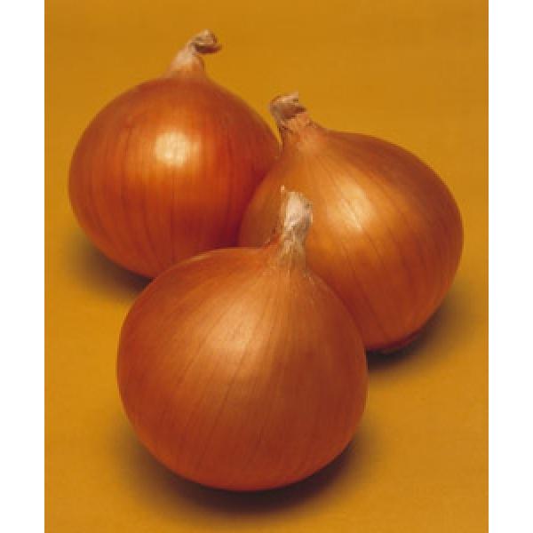 y܂˂qz^LCz@ulIA[XvDF܁i4.5mlj@V^l̂͂6`7ȍ~ƂȂ܂