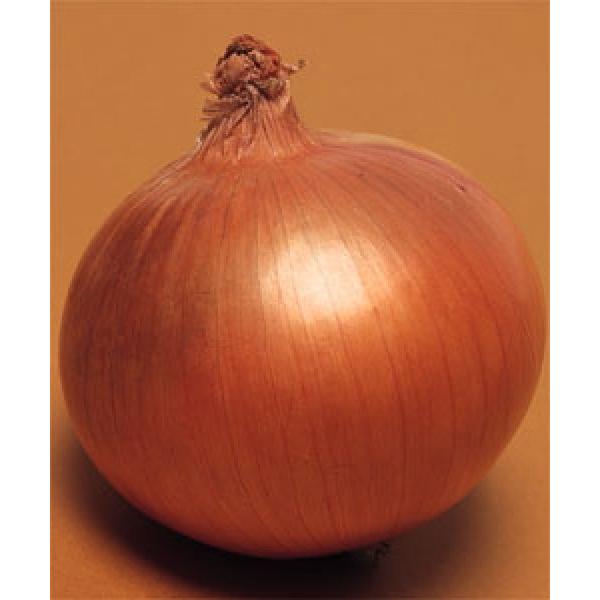 y^}lMqz^LCz@Ag@RF܁i2.7mlj@ Nxi@V^l̂͂6`7ȍ~ƂȂ܂