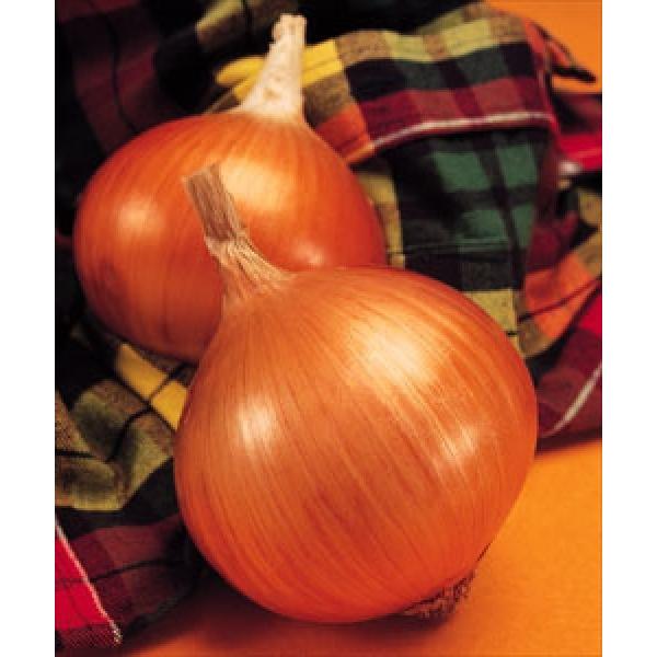 y^}lMqz^LCz@uOEKv@DF܁i6.5mlj Nxi@V^l̂͂6`7ȍ~ƂȂ܂