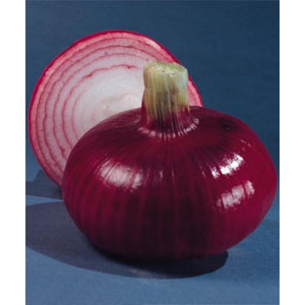 y^}lMqz^LCz@́Xԁi傤傤jRF܁i2.7mlj Nxi@V^l̂͂6`7ȍ~ƂȂ܂