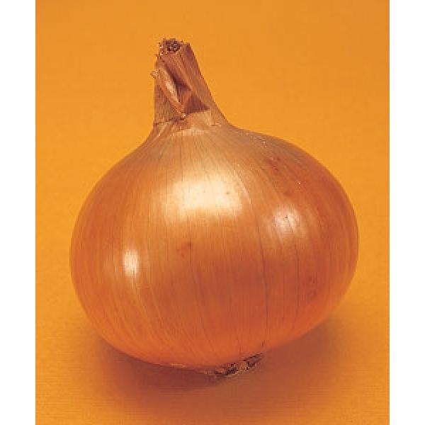 y^}lMqzBi񂵂イイj1dl@  Nxi@V^l̂͂͂U`7ȍ~ƂȂ܂