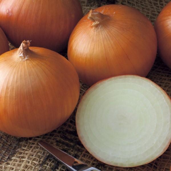 y^}lMqz^LCzi^LCcj@uP܁i邽܁jvDF܁i4.5mlj@V^l̂͂7ȍ~