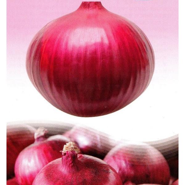 y^}lMqzJlR琬@Ԃ܂˂@ubhO}[v@1@PVPo^i@V^l̂͂8ȍ~ƂȂ܂