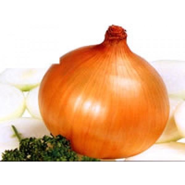 y^}lMqzzinӍ̎j@ubL[v@܁@V^l̂͂7ȍ~ƂȂ܂