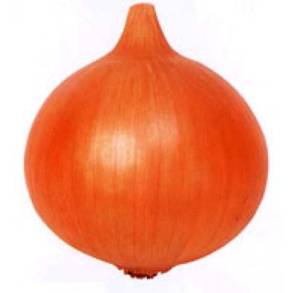 y^}lMqzzinӍ̎j@nbs[501@1@Nxi@V^l̂͂7ȍ~ƂȂ܂