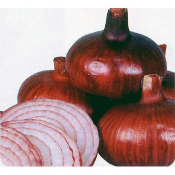 y^}lMqzzinӍ̎j@ub[Wv@@1@@V^l̂͂7ȍ~ƂȂ܂