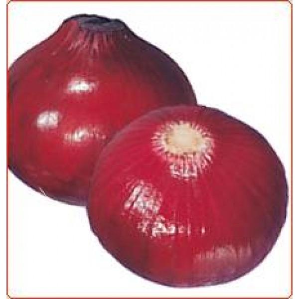 y^}lMqzc@bh@20ml@ Nxi@V^l̂͂7ȍ~ƂȂ܂