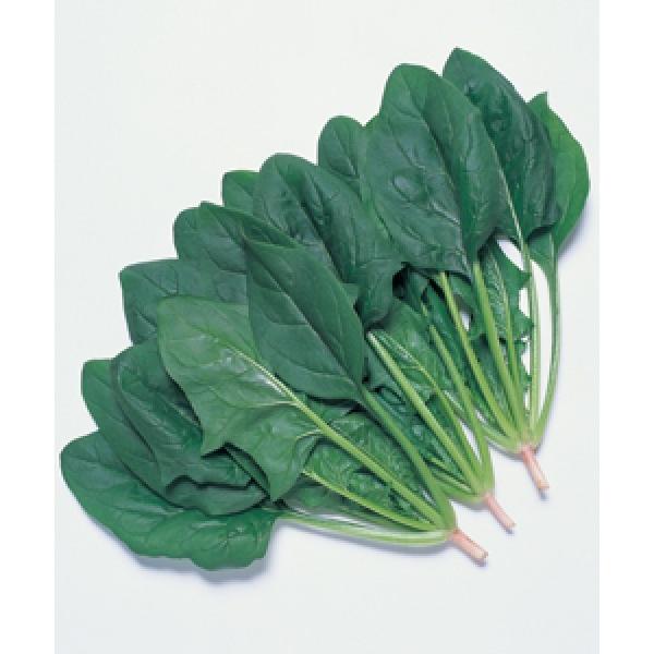 yzE\Eqz^LCz@ӒT}[XJC@RF܁i30mlj@@ii