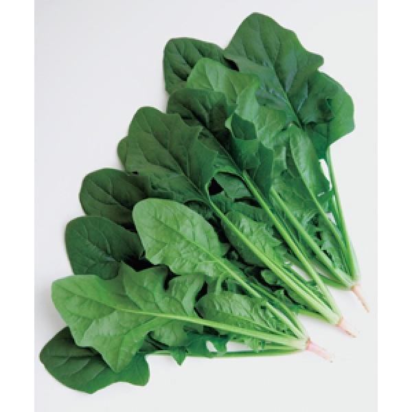 yzE\Eqz@^LCz@ٓVہiׂĂ܂jl30000@@V^l̂͂7ȍ~ƂȂ܂