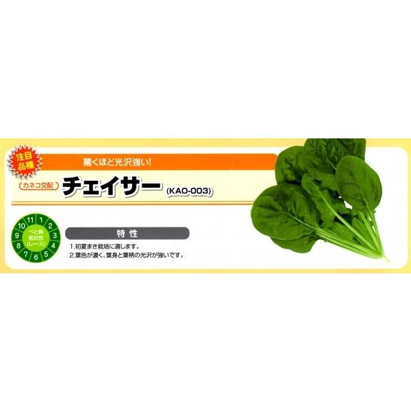 yzE\Eqz@JlRz@`FCT[@M@30000@vC~Oq