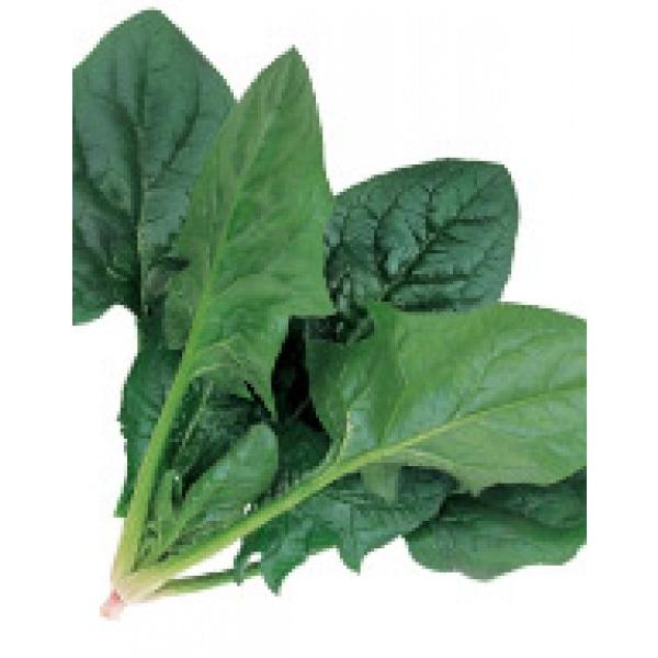 yzE\EqzTJ^z@u~[Wv@M30000@[J[/s