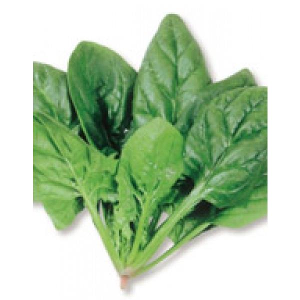 yzE\EqzTJ^z@uTCgv@1dl