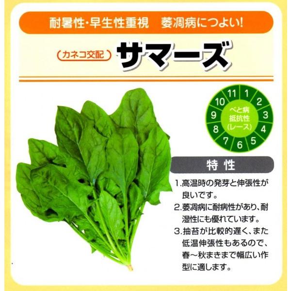 yق񂻂z@JlRz@T}[Y@M@30000@vC~Oq