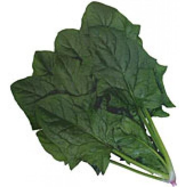 yzE\Eqz@JlRz@uO[z[vv@vC~Oq@M30000