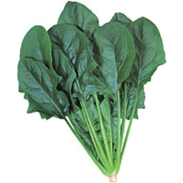 yzE\Eqz@JlRz@un^[v@vC~Oq@30ml