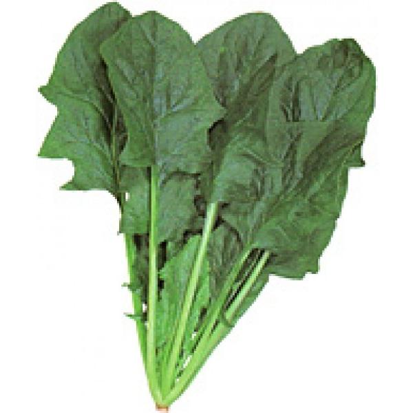 yzE\Eqz@JlRz@uӒTz[vv@MEL@30000@@vC~Oq