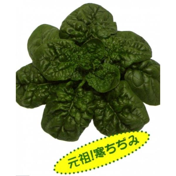 yzE\Eqz@zinӍ̎j@uijv@1@V^l̂͂7ȍ~ƂȂ܂