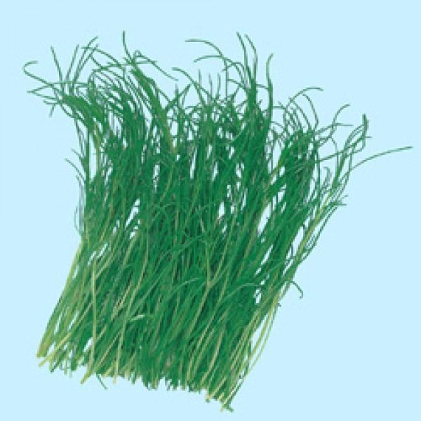 yN؎qzuЂiIJqWLjv@9ml