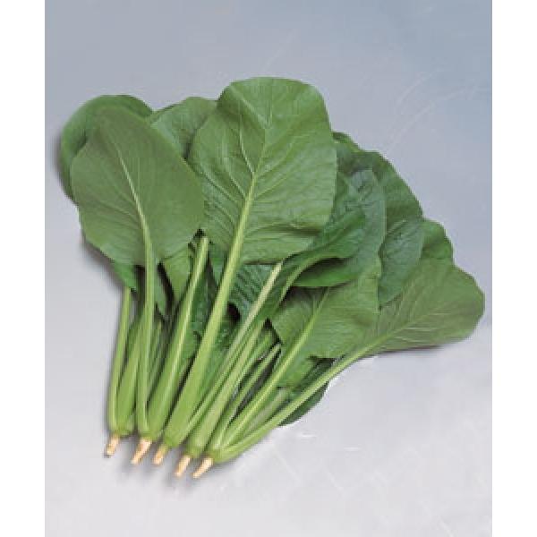 yR}ciqz^LCz@@uyVi炭Ăjv@1bg@s