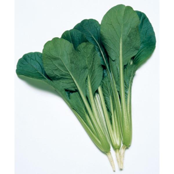 yR}ciqz@^LCz@u؁XqiȂȂjv@2dl@