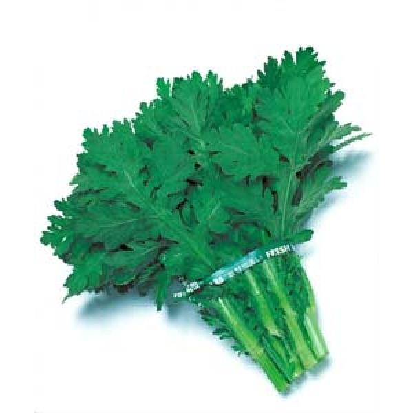 yVMNqz@^LC琬@Eݎ@uߒttev܁i27mlj@X܂Â