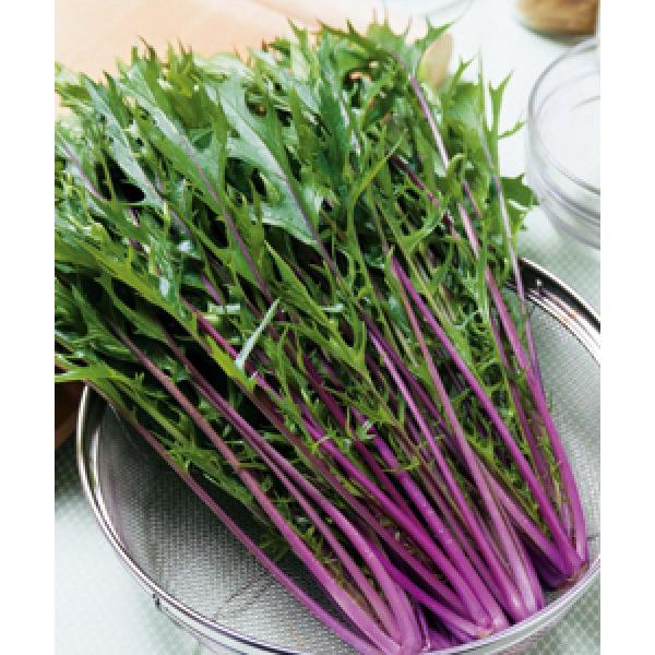 y~Yiqz^LCz@g@tiׂɂقj@2@PVPo^i@V^l̂͂ƂȂ܂