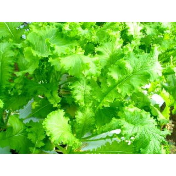 yJViqz@TJ^̃^l@xr[[tɂIubh}X^[hv@