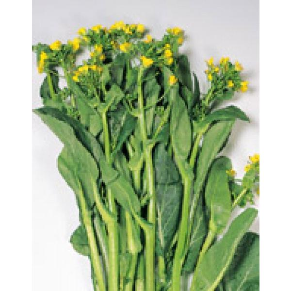 ycPiqzTJ^z@I[^|GiAXp؁j