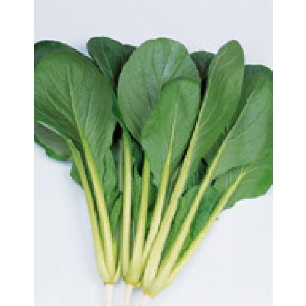 yR}ciz@TJ^z@@u͂v@2@/s