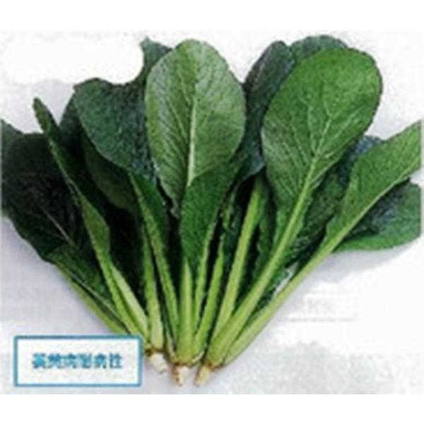 yR}ciqzTJ^z@@uȂނv@ii@2dl