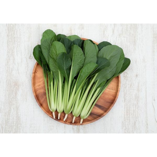 yR}ciqzTJ^z@炬@20ml@ 64S{ؕiRꓙʏ܎