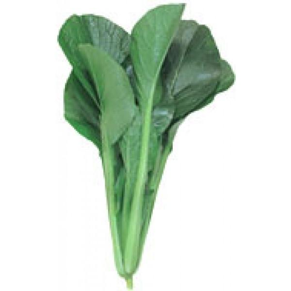 yR}ciqz@JlRz@u悩Gv@i悩Ȃ[j@20