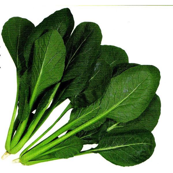 yR}ciqz@JlRz@u悩؁v@i悩ȁj@20