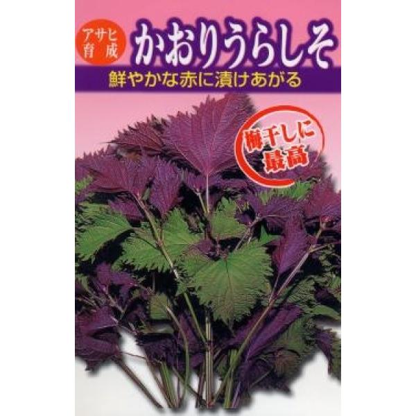 種 しその人気商品 通販 価格比較 価格 Com