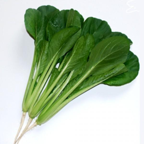 yR}ciqznӌzinӔ_juDi䂤jv@20ml