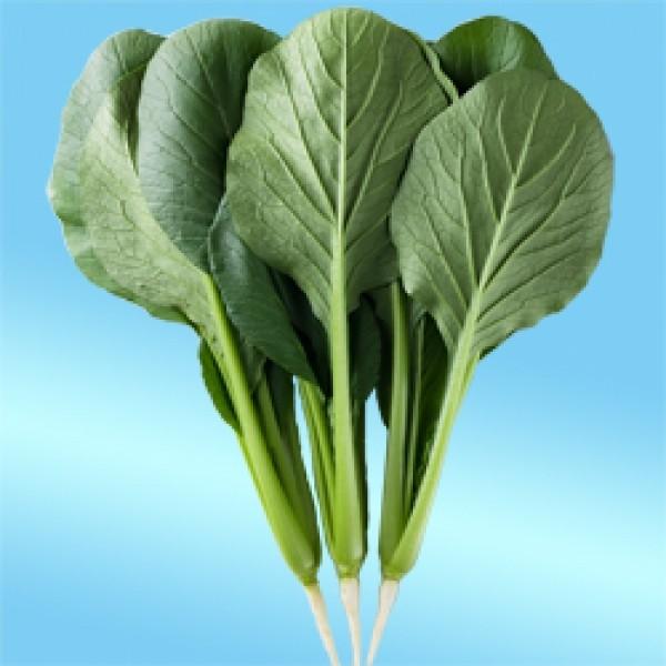 yR}ciqznӌzinӔ_j@ui݂jv2@@[J[/s