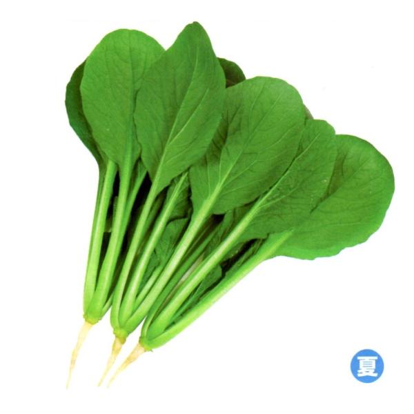 yR}ciqznӌzinӔ_j@āi񂩁j@20