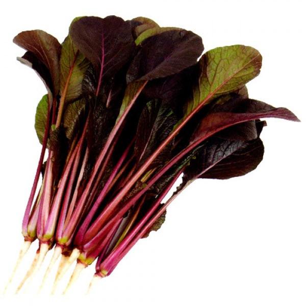 yR}ciqz@nӌz@uނ炳Ձv@܁iVmlj@