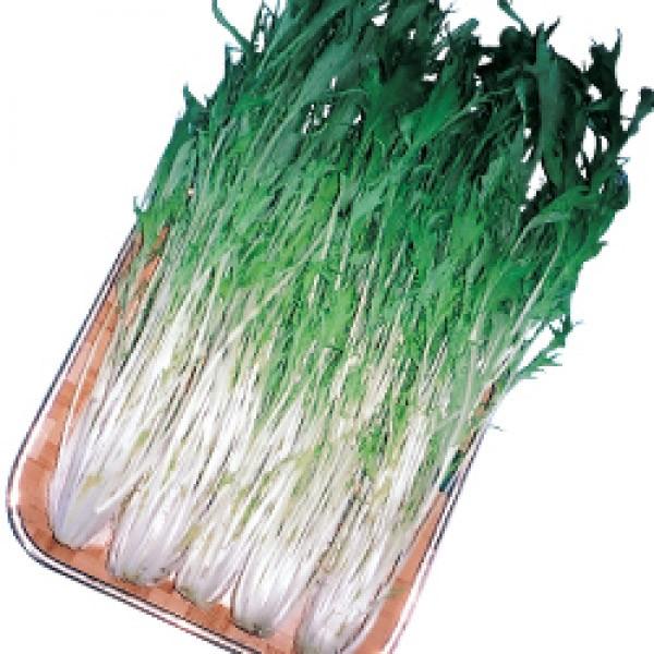 y~YiqzgL^c@uT_p؁i炾悤傤݂ȁjv@2[J[/s