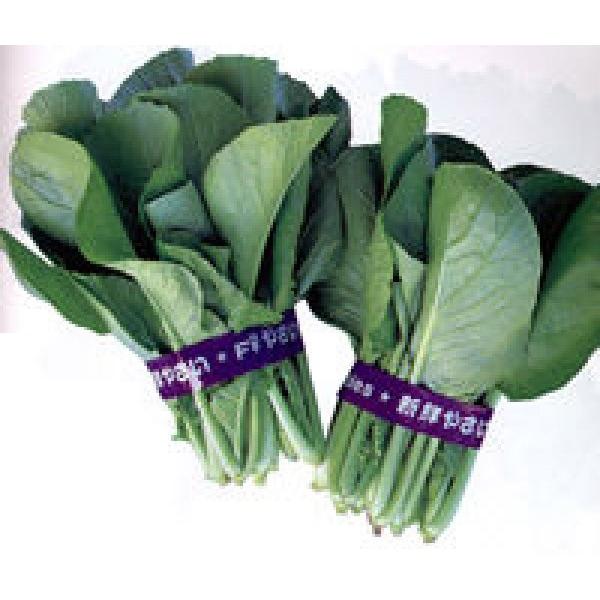 ycPiqzgL^c@u؂Piۂjv@2@[J[/s