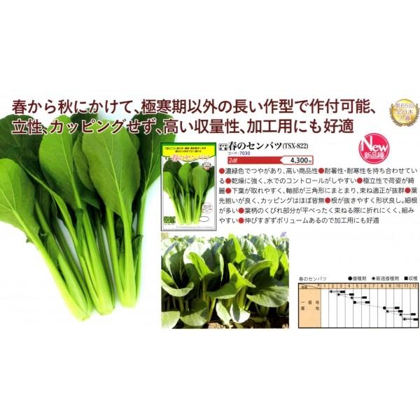 yR}ciqz_CzigL^cj@ut̃Zoci͂̂΂jv2dl